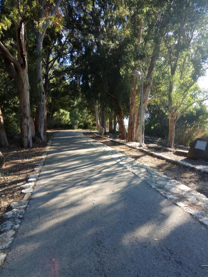 אצלנו - בגליל העליון Appartement Qiryat Shemona Buitenkant foto